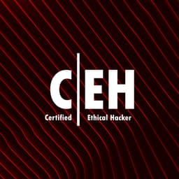 Certified Ethical Hackers Powered Manual Pentest Verification